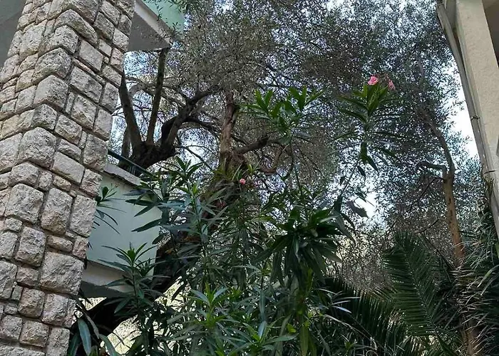 Apartment Oliva, Rafailovici